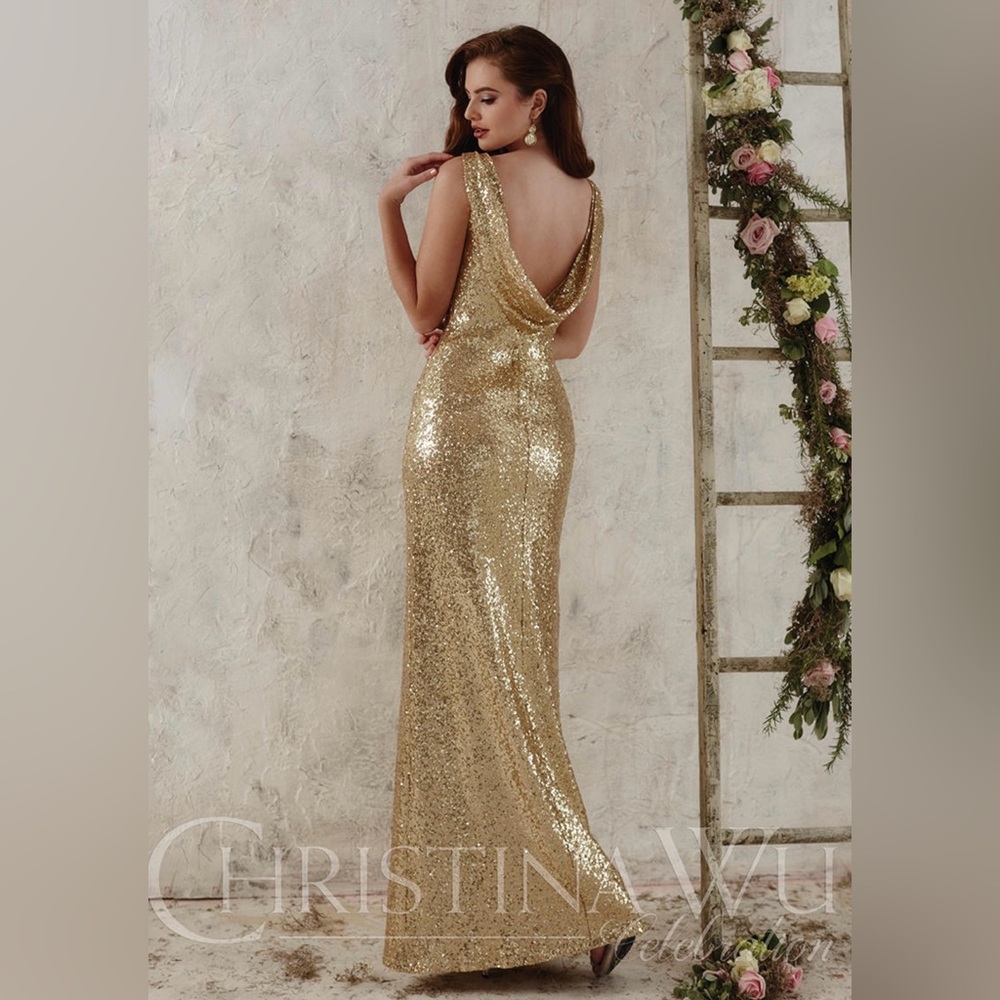 Christina‎ Wu Celebration Gown - Picture 12 of 15